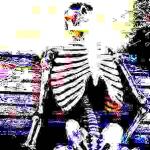 DEEP FRIED SKELETON