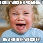 temper-tantrum | SOMEBODY WAS BEING MEAN TO ME; ON ANOTHER WEBSITE! | image tagged in temper-tantrum,cyberbullying | made w/ Imgflip meme maker