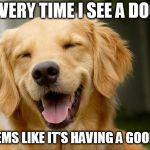 Happy Dog | EVERY TIME I SEE A DOG; IT SEEMS LIKE IT'S HAVING A GOOD DAY | image tagged in happy dog | made w/ Imgflip meme maker