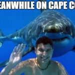 Shark Bait | MEANWHILE ON CAPE COD | image tagged in shark bait,memes,funny memes,shark,shark week | made w/ Imgflip meme maker