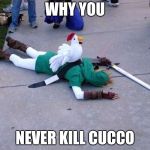 Zelda Chicken | WHY YOU; NEVER KILL CUCCO | image tagged in zelda chicken | made w/ Imgflip meme maker