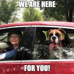 Bently | WE ARE HERE; FOR YOU! | image tagged in bently | made w/ Imgflip meme maker