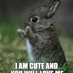 Cute Bunny | I AM CUTE AND YOU WILL LOVE ME | image tagged in cute bunny | made w/ Imgflip meme maker