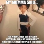 Young Cardi B | MY MOMMA SAID.... YOU WRONG, DOGS DON'T USE NO LITTER BOX. SHE ALSO SAID YOU AIN'T GOT NO PETS. SO WHO POOPED IN THE LITTER? | image tagged in young cardi b | made w/ Imgflip meme maker