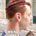 You're never going to have perfect hair people just let it shine. | WHEN YOUR HAIR LOOKS LIKE | image tagged in basd hair,deathmeme89 | made w/ Imgflip meme maker