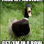 Happy Duck | TAKE MY ADVICE... GET 'EM IN A ROW | image tagged in happy duck | made w/ Imgflip meme maker