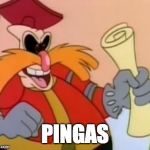 Pingas | PINGAS | image tagged in pingas | made w/ Imgflip meme maker
