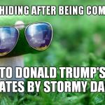 I'm Not Poisonous, So Why Is Stormy Daniels Comparing Me To Donald Trump? | I'M IN HIDING AFTER BEING COMPARED; TO DONALD TRUMP'S PRIVATES BY STORMY DANIELS | image tagged in deal with it mushroom | made w/ Imgflip meme maker