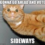 Up vote?  Down vote? Eh... | GONNA GO AHEAD AND VOTE; SIDEWAYS | image tagged in sideways happy cat | made w/ Imgflip meme maker