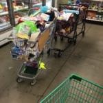 Dollar Tree Carts