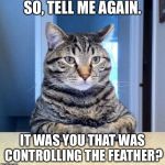 So... | SO, TELL ME AGAIN. IT WAS YOU THAT WAS CONTROLLING THE FEATHER? | image tagged in serious cat,so much drama,cats,funny cats,lolcats,memes | made w/ Imgflip meme maker