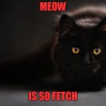 cat black | MEOW; IS SO FETCH | image tagged in cat black | made w/ Imgflip meme maker