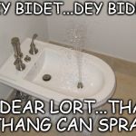 Happy Bidet | DEY BIDET...DEY BIDET; O DEAR LORT...THAT THANG CAN SPRAY | image tagged in happy bidet | made w/ Imgflip meme maker
