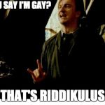 It is riddikulus | YOU SAY I'M GAY? THAT'S RIDDIKULUS | image tagged in lupin riddikkulus | made w/ Imgflip meme maker