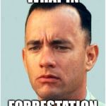forrest gump | WHAT IN; FORRESTATION | image tagged in forrest gump | made w/ Imgflip meme maker