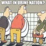 Dumbo | WHAT IN URINE NATION? | image tagged in dumbo | made w/ Imgflip meme maker