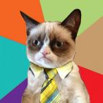 Grumpy Business Cat meme