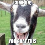 Funny Goat | COME ON, YOU GOAT THIS | image tagged in funny goat | made w/ Imgflip meme maker