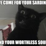 RWDC | I'VE COME FOR YOUR SARDINES; AND YOUR WORTHLESS SOULS | image tagged in wtf cat | made w/ Imgflip meme maker