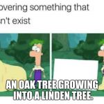 discovering something that doesnt exist | AN OAK TREE GROWING INTO A LINDEN TREE. | image tagged in discovering something that doesnt exist | made w/ Imgflip meme maker
