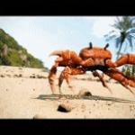 Crab rave gif
