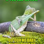 Guitar lizard  | IF YOU LEAF ME NOW; OO-OOH NO BABY PLEASE DON'T GO | image tagged in guitar lizard,memes,funny,chicago | made w/ Imgflip meme maker