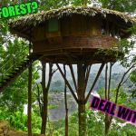 Rainforest pimpin' | RAINFOREST? DEAL WITH IT! | image tagged in rainforest pimpin' | made w/ Imgflip meme maker