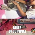 Cat Trace | PUBG; RULES OF SURVIVAL | image tagged in cat trace | made w/ Imgflip meme maker