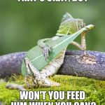 Take a Load Off | THAT'S OKAY, BOY; WON'T YOU FEED HIM WHEN YOU CAN? | image tagged in guitar lizard,the band,the weight | made w/ Imgflip meme maker