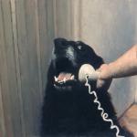 telephone dog