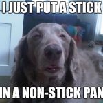 High Dog Meme | I JUST PUT A STICK IN A NON-STICK PAN | image tagged in memes,high dog,stick,ilikepie314159265358979 | made w/ Imgflip meme maker