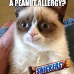 Deez Nuts | OH, YOU HAVE A PEANUT ALLERGY? HERE, HAVE A SNICKERS | image tagged in memes,grumpy cat happy,grumpy cat,snickers,y u no,caturday | made w/ Imgflip meme maker