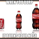 Coke Bottles | WHEN YOU BURP; IT BURNS YOUR NOSE | image tagged in coke bottles | made w/ Imgflip meme maker