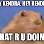 Dramatic Chipmunk | HEY KENDRA. HEY KENDRA! WHAT R U DOIN!? | image tagged in dramatic chipmunk | made w/ Imgflip meme maker