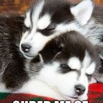 Huskies snuggling | THIS IMAGE; CURED ME OF MY DEPRESSION | image tagged in huskies snuggling | made w/ Imgflip meme maker