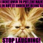 BAD HAIR DAY | I BENT OVER TO PUT THE HAIR GEL IN BUT IT ENDED UP BEING GLUE. STOP LAUGHING! | image tagged in bad hair day | made w/ Imgflip meme maker
