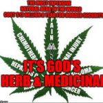 Benefits of Marijuana | THE MOST EXPENSIVE                     NATURAL HERB IN THE WORLD               COST $12 BILLION A YEAR FOR BORDER SECURITY; IT'S GOD'S HERB & MEDICINAL | image tagged in benefits of marijuana | made w/ Imgflip meme maker