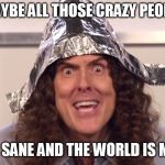 weird al yankovic tinfoil hat | MAYBE ALL THOSE CRAZY PEOPLE; ARE SANE AND THE WORLD IS MAD. | image tagged in weird al yankovic tinfoil hat | made w/ Imgflip meme maker