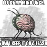 lost mind | I LOST MY MIND ONCE. NOW I KEEP IT ON A LEASH. | image tagged in lost mind | made w/ Imgflip meme maker