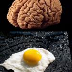 This is your brain meme
