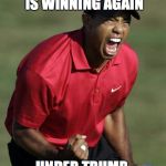 tiger woods | TIGER WOODS IS WINNING AGAIN; UNDER TRUMP | image tagged in tiger woods | made w/ Imgflip meme maker