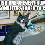 CLEANING CAT | I WISH ONE OF EVERY HUMAN PERSONALITIES LOVED TO CLEAN | image tagged in cleaning cat | made w/ Imgflip meme maker