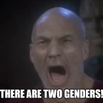 There are Two Genders | THERE ARE TWO GENDERS! | image tagged in there are four lights,two genders,political correctness,identity politics,politics,political | made w/ Imgflip meme maker