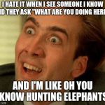 Nah, Really? | I HATE IT WHEN I SEE SOMEONE I KNOW AND THEY ASK "WHAT ARE YOU DOING HERE?"; AND I'M LIKE OH YOU KNOW HUNTING ELEPHANTS | image tagged in nah really? | made w/ Imgflip meme maker