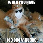 MONEY CAT - ALTERNATIVE FACTS | WHEN YOU HAVE; 100,000 V-BUCKS | image tagged in money cat - alternative facts | made w/ Imgflip meme maker