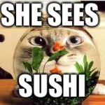 Cat fishbowl | SHE SEES; SUSHI | image tagged in cat fishbowl | made w/ Imgflip meme maker