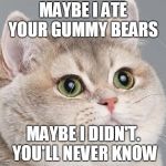 Heavy breathing cat blank | MAYBE I ATE YOUR GUMMY BEARS; MAYBE I DIDN'T. YOU'LL NEVER KNOW | image tagged in funny cat memes | made w/ Imgflip meme maker