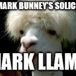 bad hair day llama | I'M MARK BUNNEY'S SOLICITOR; MARK LLAMA | image tagged in bad hair day llama | made w/ Imgflip meme maker