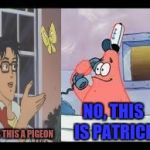 No, this is patrick | IS THIS A PIGEON NO, THIS IS PATRICK | image tagged in no this is patrick | made w/ Imgflip meme maker