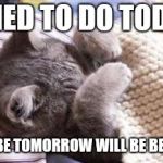 sick cat | TRIED TO DO TODAY; MAYBE TOMORROW WILL BE BETTER | image tagged in sick cat | made w/ Imgflip meme maker